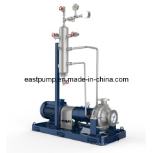 Pompe de processus chimique horizontale centrifuge